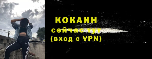 Альфа ПВП Аркадак