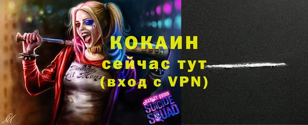 тгк Арсеньев
